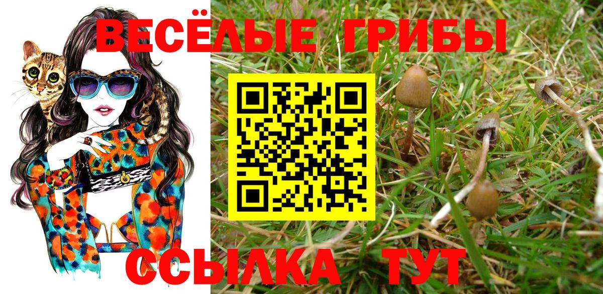 Псилоцибиновые грибы MAGIC MUSHROOMS  Галлюциногенные грибы Cubensis  Ивантеевка  Вход с VPN 