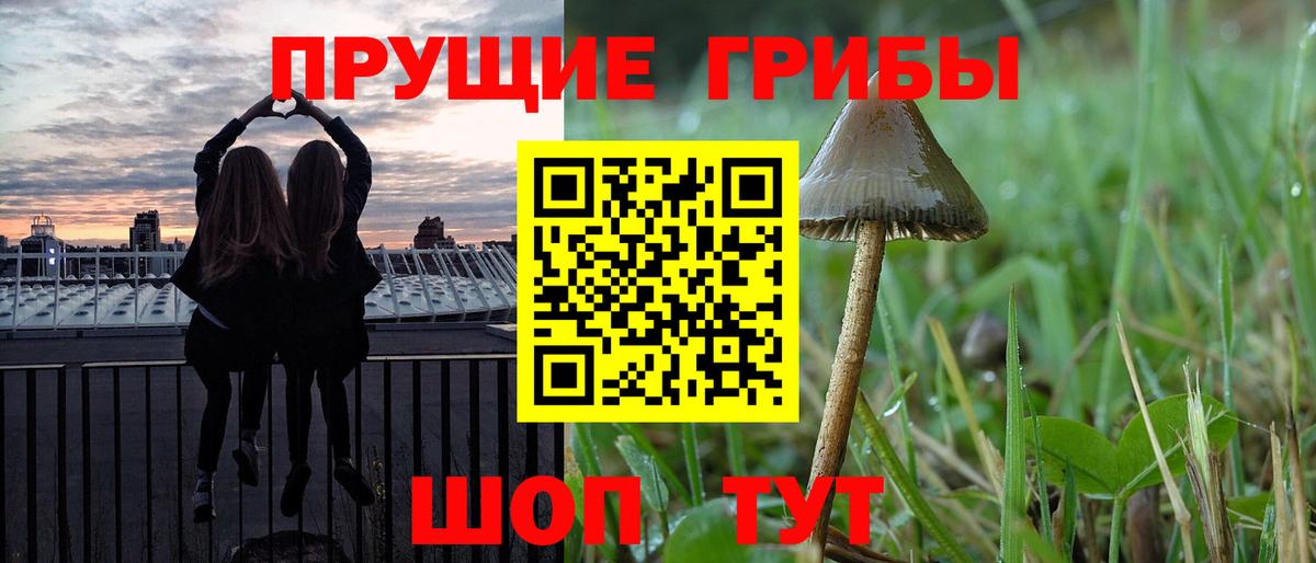 Галлюциногенные грибы Magic Shrooms Ивантеевка